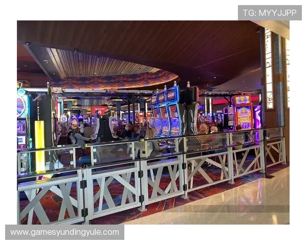 云顶赌场养的设备选择与环境布置优化建议